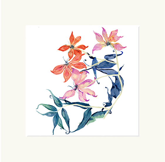 Lily Print