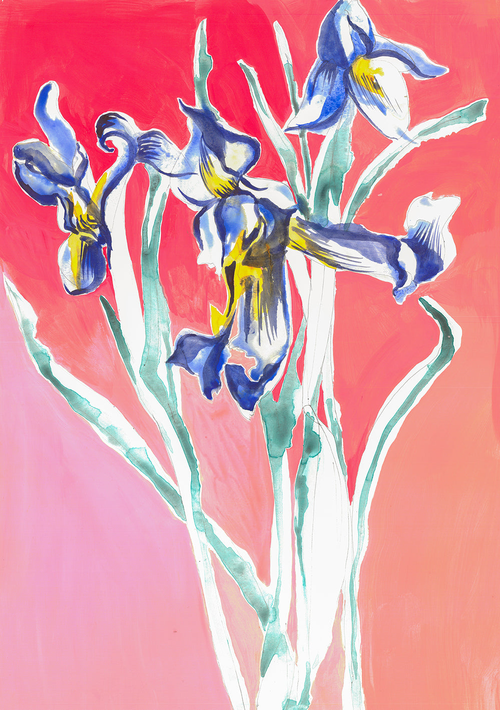 Fauvist Iris Giclee Print