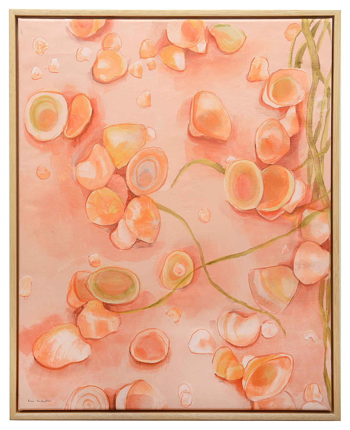 Where the Tide Left Them