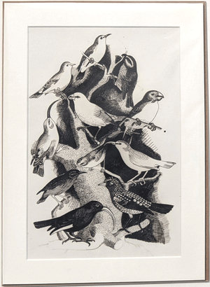 Black and White Finches Print