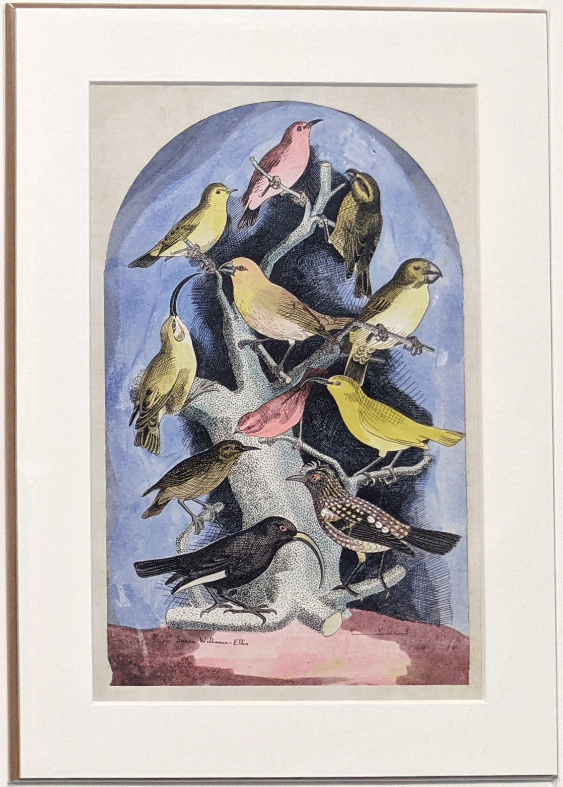 Colourful Finches Print