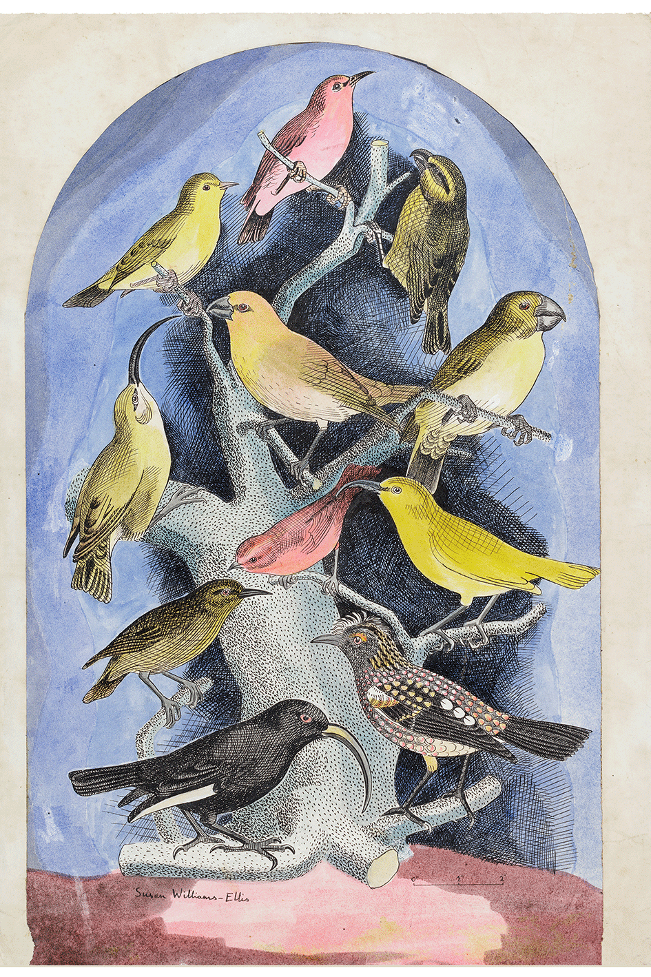 Colourful Finches Print