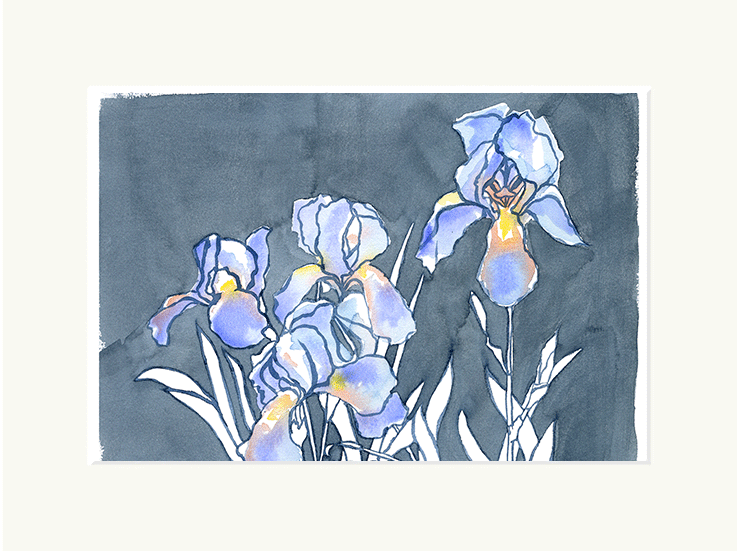 Dark Iris Giclee Print