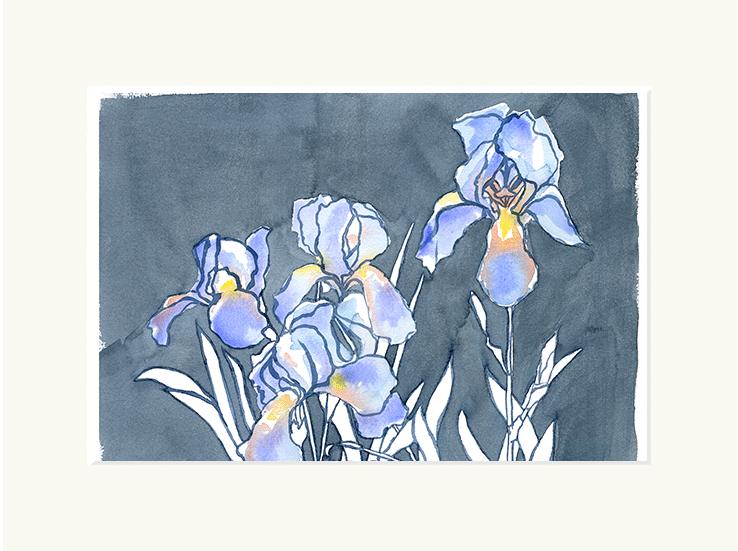 Dark Iris Print