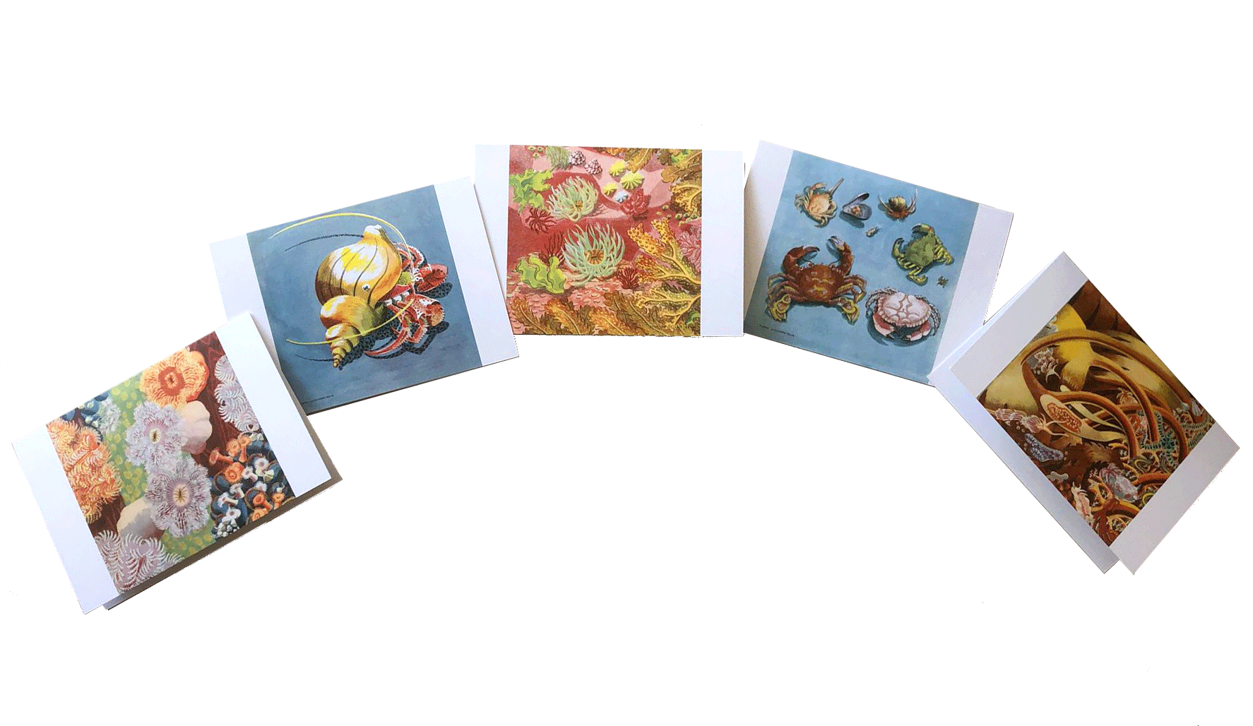 A Holiday by the Sea Greetings Cards